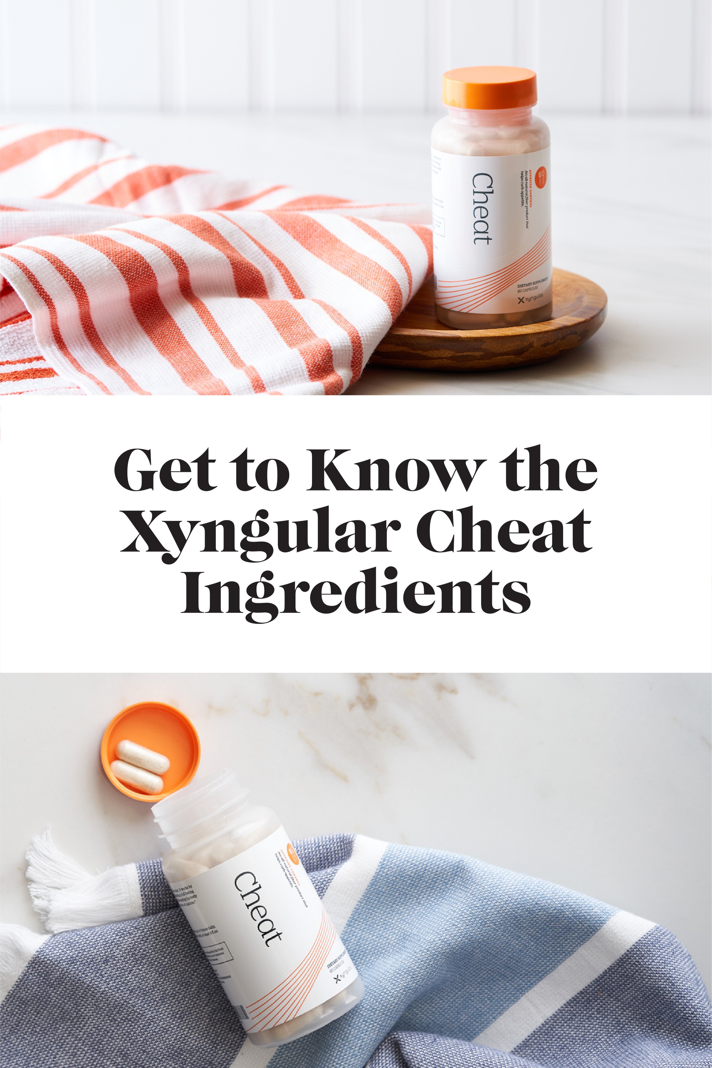 Get To Know The Xyngular Cheat Ingredients